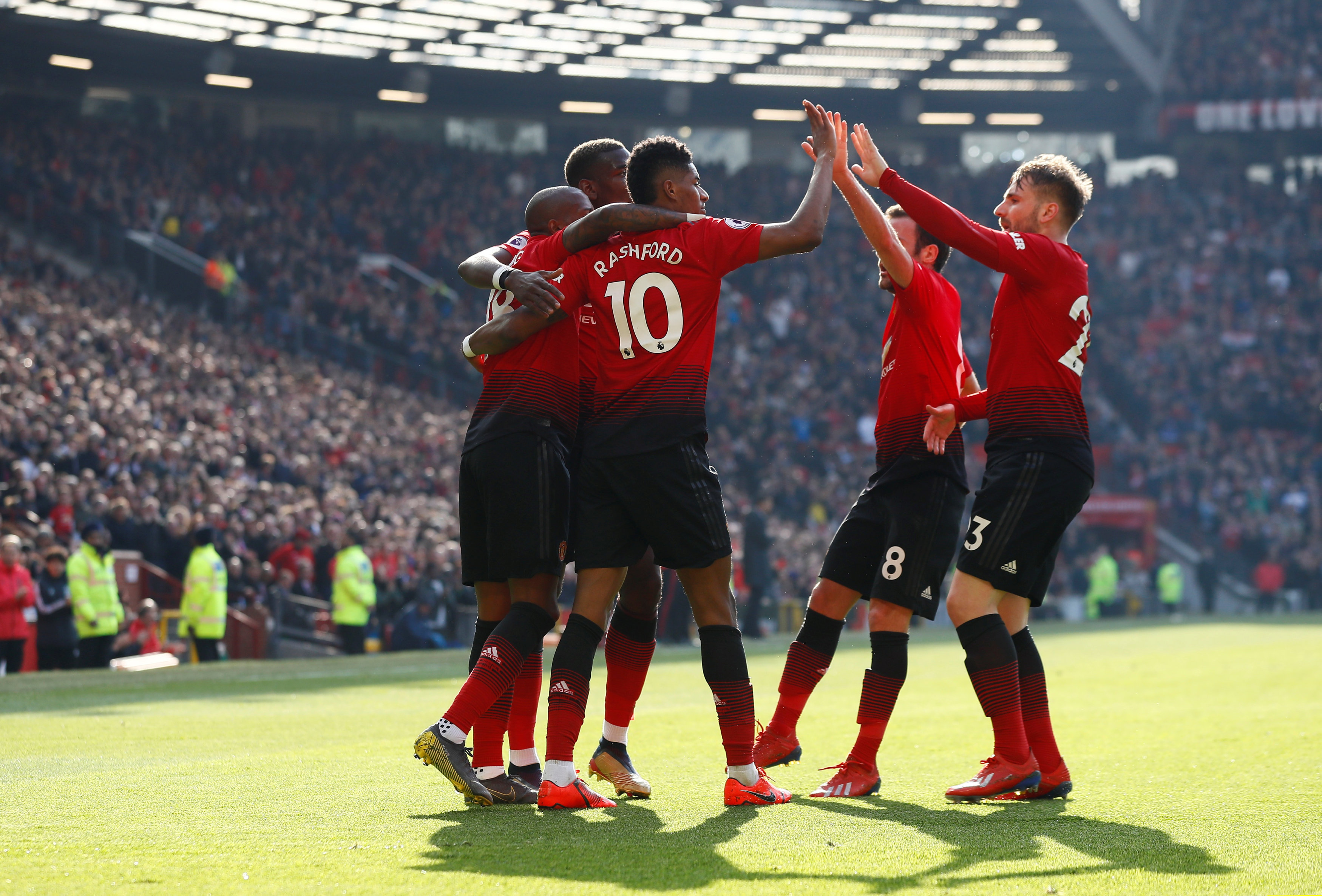 等功能型球 等功能型球